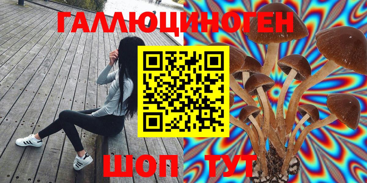 Белово  Псилоцибиновые грибы GOLDEN TEACHER  Вход с VPN 